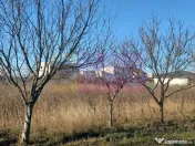 Săbăreni, teren construibil 2040 mp, stradal cu utilităti 