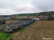 Casă de vânzare în Gârdani 