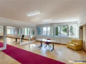 Spatii de birouri pentru afaceri care apreciaza profesionali 