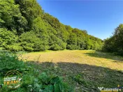 FILM! Teren extravilan pe 2.737mp,zona pretioasa,acces facil 