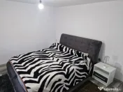 Casă de vânzare Băilești – 100 mp, curte proprie 