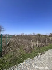 Teren de inchiriat-Doua deschideri-Zona in cont dezvoltare-C 