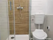 Camera de camin renovata,cu baie proprie - Zona Gemenii-Florilor 