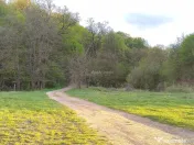 Parcele de INTRE IAZURI Talmaciu 