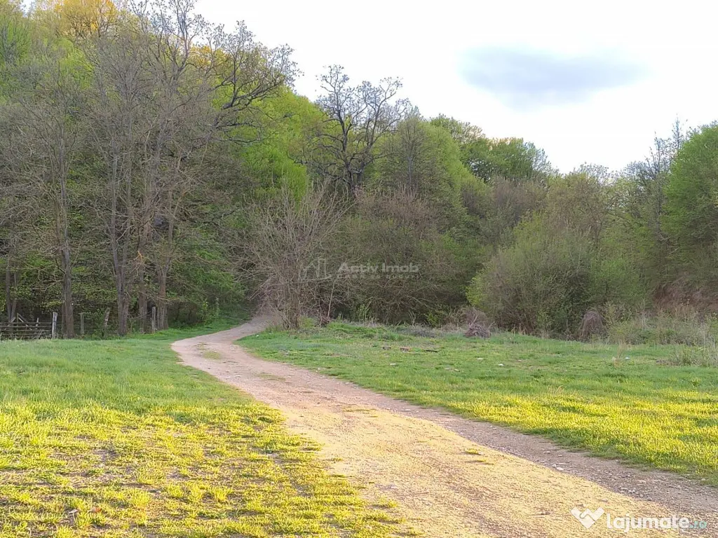 Ultimele 2 parcele de in zona de cabane Talmaciu - Talmaciu (Sibiu)