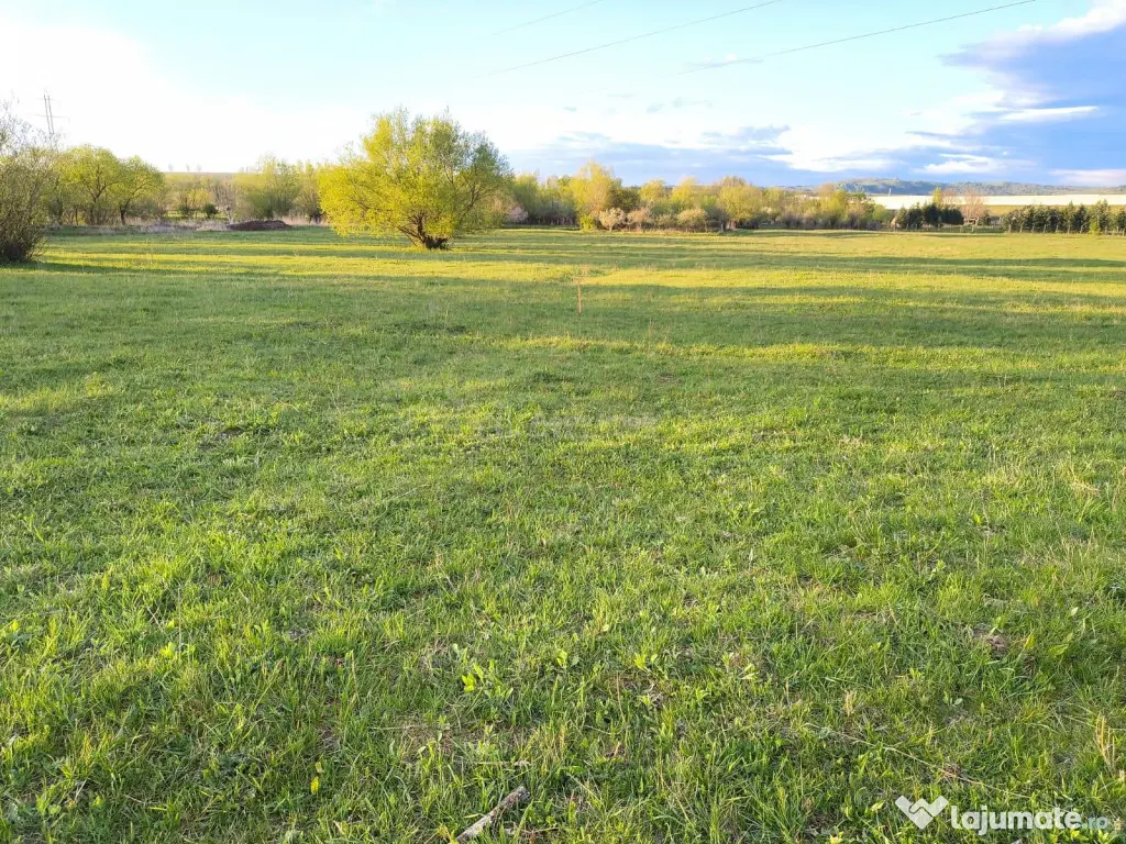 Ultimele 2 parcele de in zona de cabane Talmaciu - Talmaciu (Sibiu)