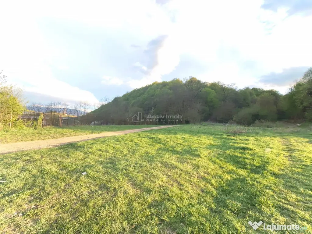 Ultimele 2 parcele de in zona de cabane Talmaciu - Talmaciu (Sibiu)