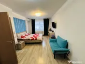 Vila insiruita superbă P+1+M, 131 mp , 93 mp teren Apeductu 