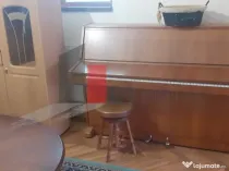 Casa individuala 1 mai