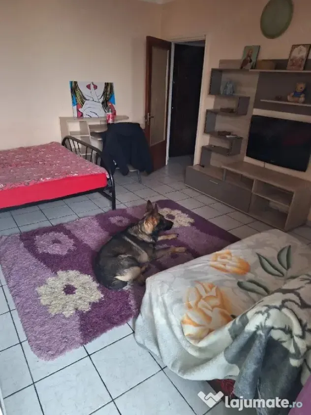 Iancului etaj 11 semidecomandat
