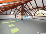 Vila 14 camere S P E1 M Arcul de Triumf Herastrau Kiseleff C 