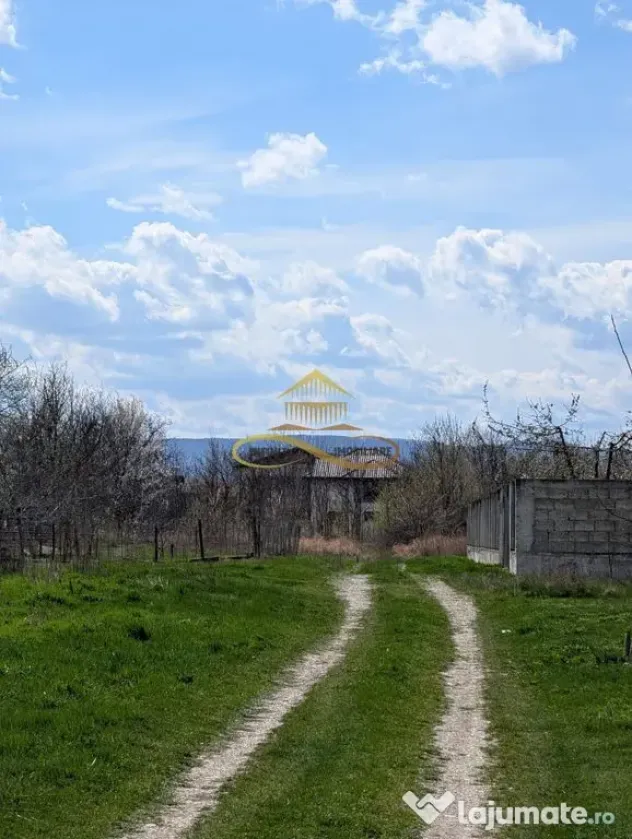 TEREN INTRAVILAN, SERBANESTI