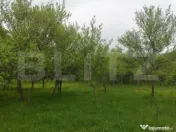 Teren 6500 mp, front 125 ml, utilitati, liniste – Ulieș, 