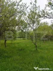 Teren 6500 mp, front 125 ml, utilitati, liniste – Ulieș, 