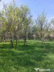 Teren 6500 mp, front 125 ml, utilitati, liniste – Ulieș, 