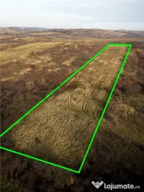 RECO . Teren extravilan . Uileacul de munte