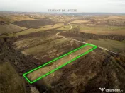 RECO . Teren extravilan . Uileacul de munte 