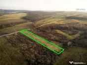 RECO . Teren extravilan . Uileacul de munte 