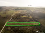 RECO . Teren extravilan . Uileacul de munte 