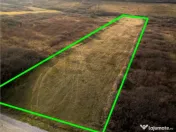 RECO . Teren extravilan . Uileacul de munte 