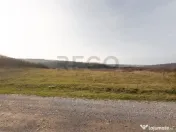 RECO . Teren extravilan . Uileacul de munte 