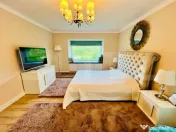 Casa moderna, suprafata utila 145mp, 5 ari teren, zona Lapte 