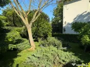 Domeniu privat 2090mp cu piscina 