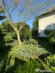 Zona Ghencea Sos Alexandriei Domeniu privat 2090mp cu pis... 