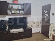 Apartament de 3 camere, etaj intermediar, Valea Rosie 