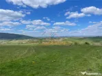 TEREN | BALNACA | 6301MP | BIHOR