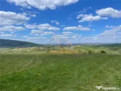 TEREN | BALNACA | 6301MP | BIHOR 