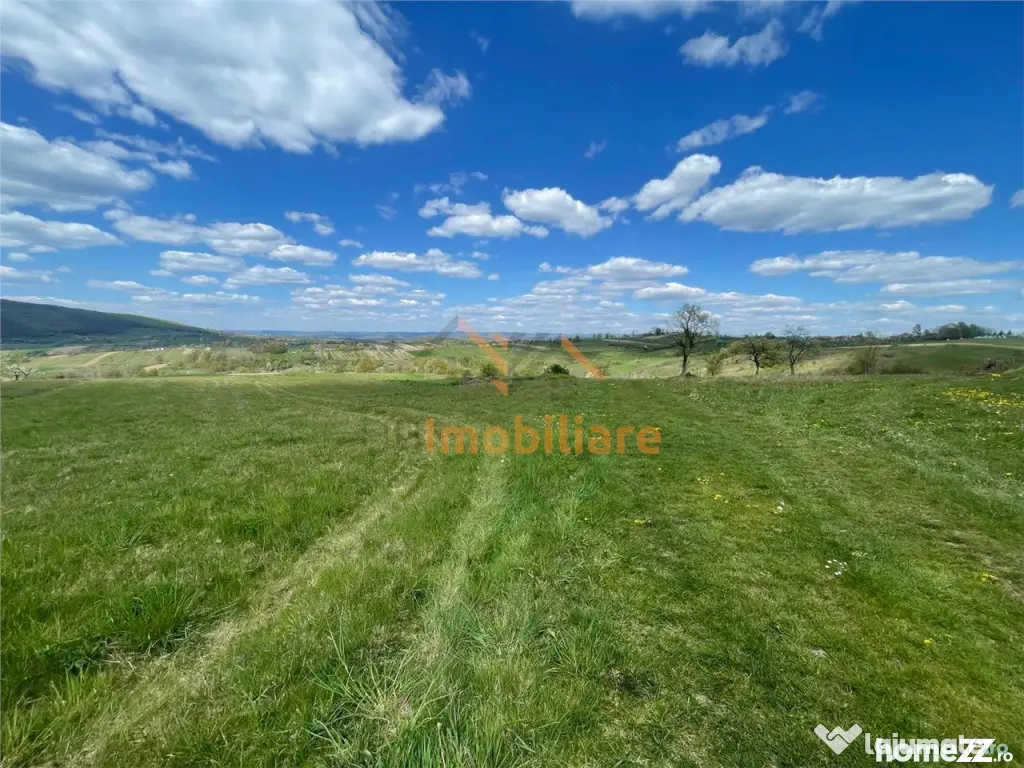 TEREN | BALNACA | 6301MP | BIHOR