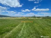 TEREN | BALNACA | 6301MP | BIHOR 