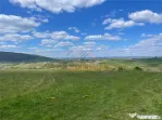 TEREN | BALNACA | 6301MP | BIHOR