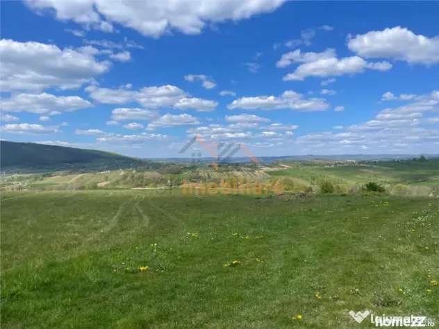 TEREN | BALNACA | 6301MP | BIHOR