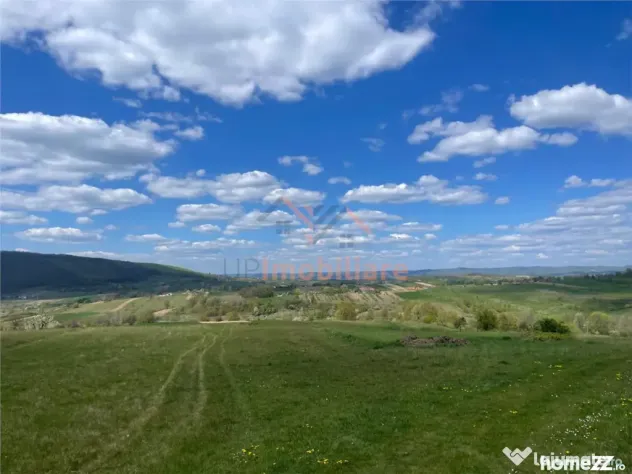 TEREN | BALNACA | 6301MP | BIHOR