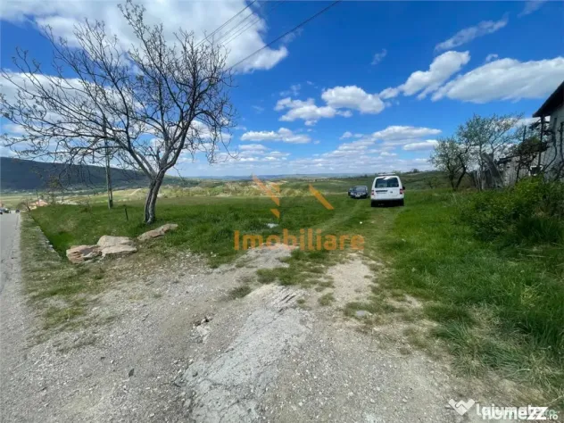 TEREN | BALNACA | 6301MP | BIHOR
