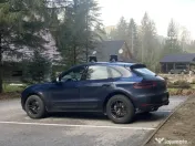 Roti de iarna 18 Macan 