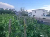 Teren intravilan 714mp, Carcea intre case , toate utilitatil 