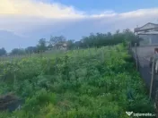 Teren intravilan 714mp, Carcea intre case , toate utilitatil 