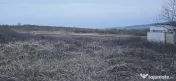 Teren de vânzare, loc. Paleu 