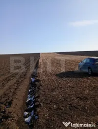 Teren extravilan, 42 ari, Liteni Moara 