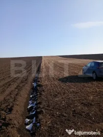 Teren extravilan, 42 ari, Liteni Moara
