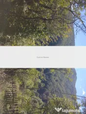 Persoana fizica vând cabană Muntele Săcelului 