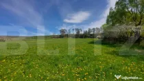 7000 mp teren intravilan in Ghidfalau I Pe malul Oltului I O