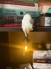 Mini veioza/ lampa pentru biblioteca in forma de animale 
