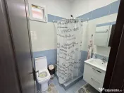 Hala Moderna Productie / Depozitare / Distributie - Giulesti 