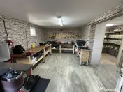 Hala Moderna Productie / Depozitare / Distributie - Giulesti 