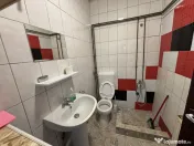 Hala Moderna Productie / Depozitare / Distributie - Giulesti 