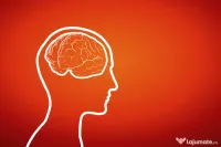 Evaluare Psihologica Complexa si de Integritate 